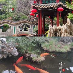 DA RUN LONG YAN ZHA ZHU ROU User Photo