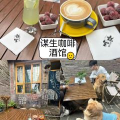 谋生咖啡馆 User Photo