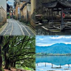 椿野咖啡馆(和顺店) User Photo