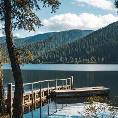 Kamba Nomadic Cafe User Photo