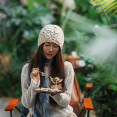 椿野咖啡馆(和顺店) User Photo