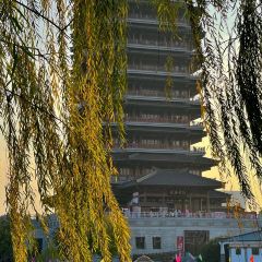 WEIDAOJIA MAMACAI User Photo