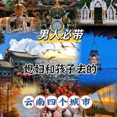 MANFEILONG User Photo