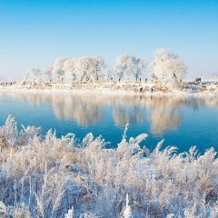 Shunji Traditional Cold Noodles 여행 사진