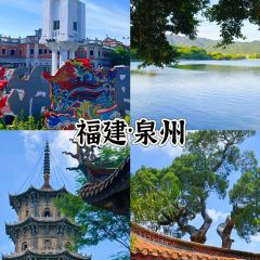 飞茑集樢咖啡 User Photo
