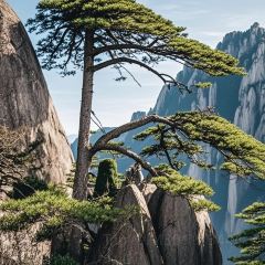 灵山酒酿 여행 사진