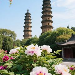 BING RIVER TASTE User Photo