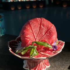 紅鼎艷張用戶圖片