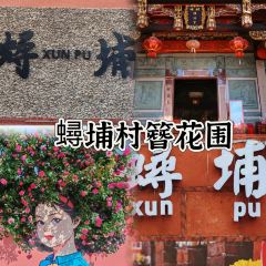 Auntie Jijia User Photo