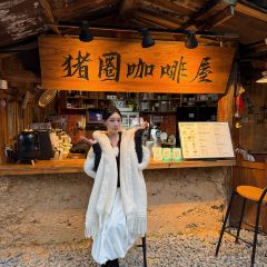 猪圈咖啡屋 User Photo