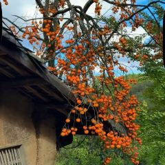 一尺稻田咖啡 User Photo