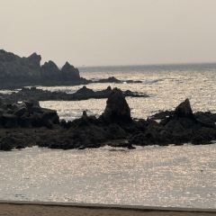 SEAF0OD MASTER User Photo