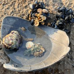 海岛日记(养马岛店) User Photo