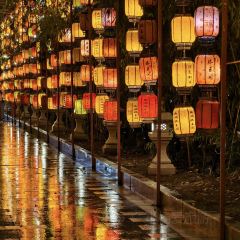 LAO SAN YANG User Photo