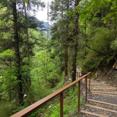 QIANG GU XIAO CHI User Photo