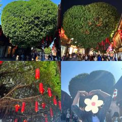 唐沫茶兮（世歐北區3樓店）張用戶圖片