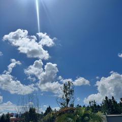 有芬餐馆 User Photo