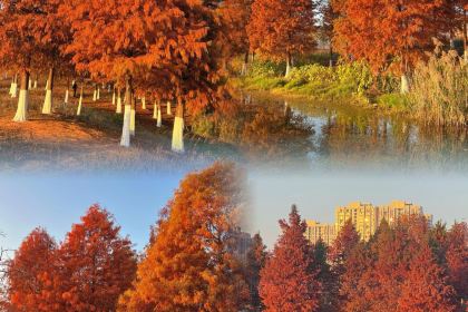 肆姐面粉馆(坡子街店)