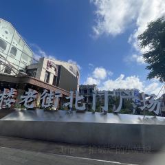 SNT&TEA 여행 사진