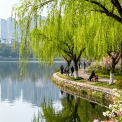 SEE MOUNTAIN LU TALK User Photo