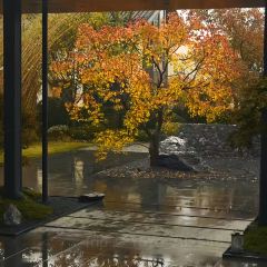 YE PO COFFEE User Photo