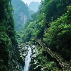 资兴桔园农家民宿 User Photo