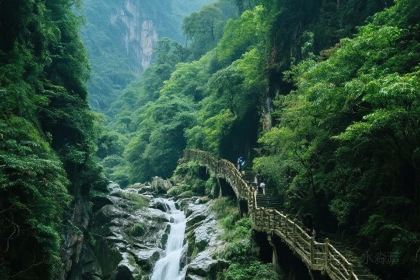 资兴桔园农家民宿