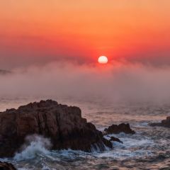 FRESH UNDER THE SEA 여행 사진