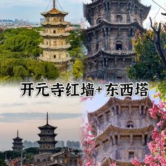 Auntie Jijia User Photo