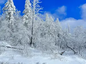 東北特色館