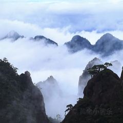 三清老媽菜（金沙店）張用戶圖片