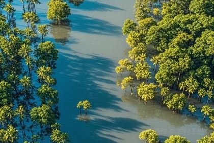 四爹簸箕炊(步行街店)