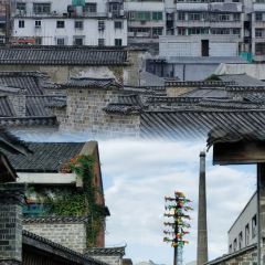 陶姐冷粉張用戶圖片