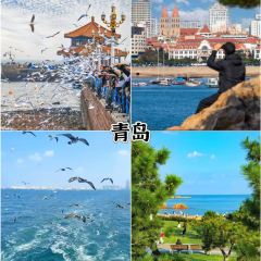 老媽生態餐廳張用戶圖片