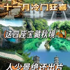 王天顺海苔饼 User Photo