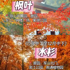 兰姐海鲜平价海鲜·南通土菜(桃坞路店) User Photo