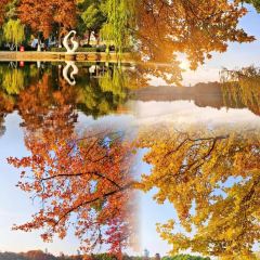 绘璟轩·不醒人室 User Photo