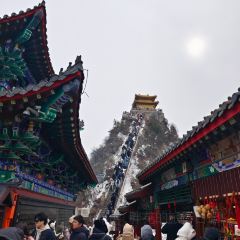 LONG LIN LU DI YI GU NIU ROU SHANG User Photo