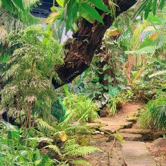 泰椰天香·江景六国料理 User Photo