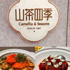 Camellia & Seasons 여행 사진