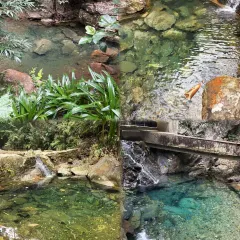 天桥底鸡煲 여행 사진