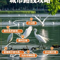 官塘弟少坚牛肉火锅 User Photo