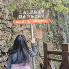 刘记靖远羊羔肉(新敦巷店) User Photo