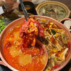 云味集牦牛肉山货火锅(白沙起源店) User Photo