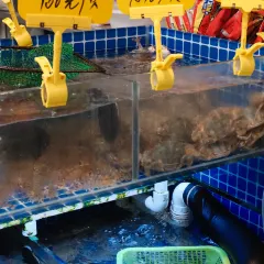 飛珠麵店張用戶圖片