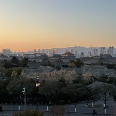 XINJIN TAO 여행 사진