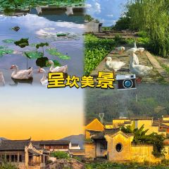 灵山酒酿 User Photo