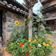 夏雨路轩特色餐厅 User Photo
