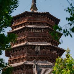 NA XING GU HE REN JI YANG ZA PU ER BU User Photo