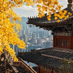 CHUN TAI SHOU ZHUA User Photo